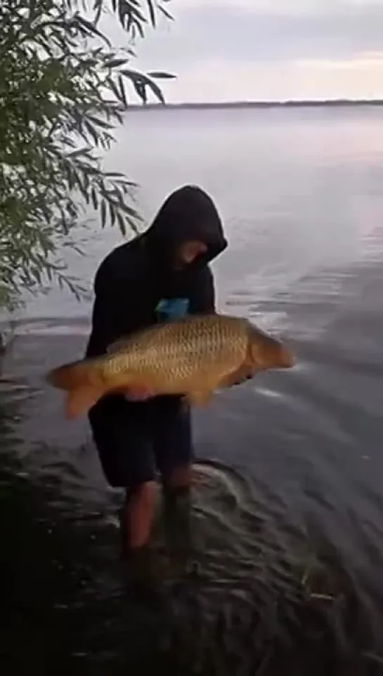 Видео от Сиди и Смотри