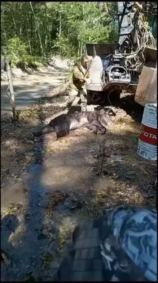 Видео от Сиди и Смотри