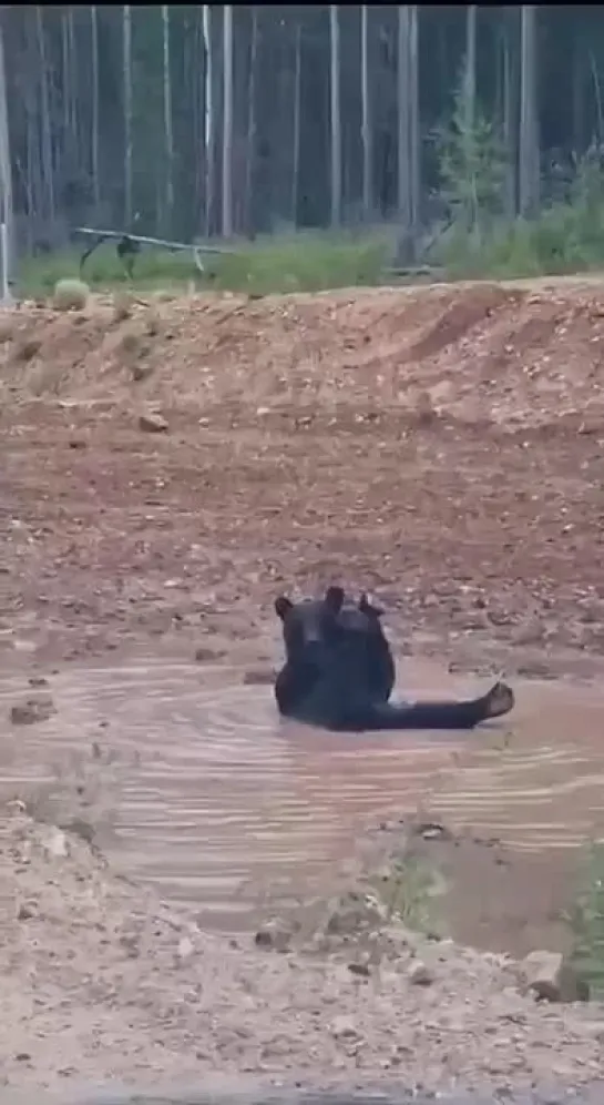 Видео от Сиди и Смотри