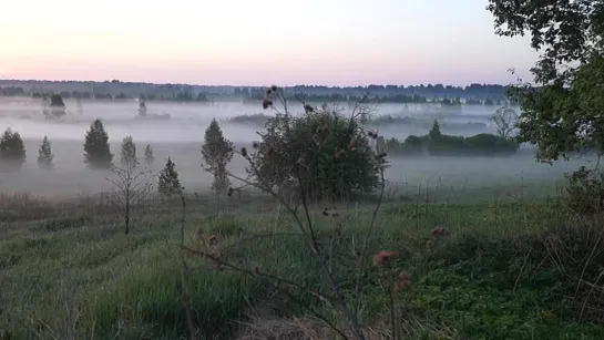 Утро туманное, д. Давыдовское, Устюженский район, Вологодская область, р. Ижина.