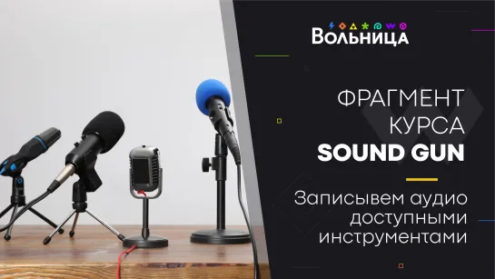 Запись аудио и анализаторы. Фрагмент курса Sound Gun