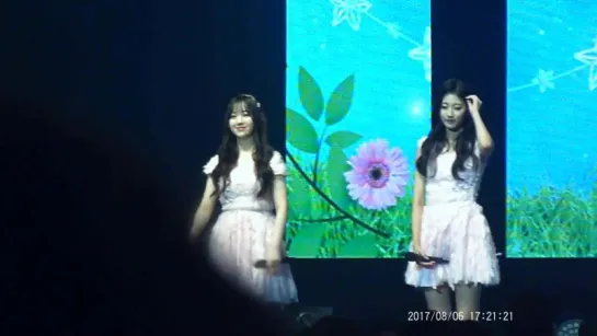 170806 | Lovelyz - Talk | 2017 Summer Concert in Japan