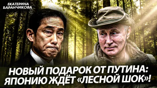 Новый подарок от Путина: Японию ждёт «лесной шок»! (Екатерина Баранчикова)