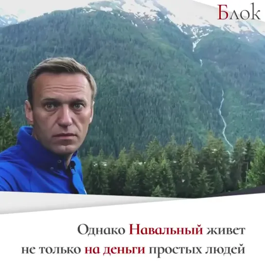 «Продолжайте донатить». Волков пытается выставить Навального «честным и независимым