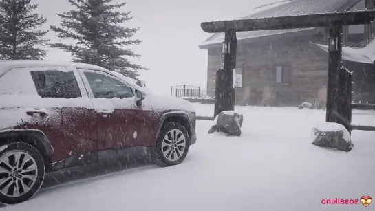 Полное видео в ВИП группе Разное (Субтитры, Русское, Порно)