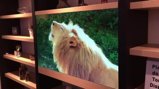 CES 2016 Panasonics invisible Transparent Display TV