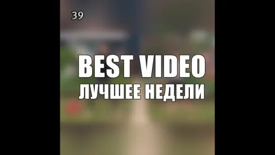 Best Video Лучшее Недели