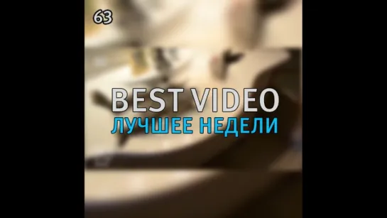 Best Video Лучшее Недели