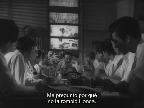 Stray Dog (1949) Akira Kurosawa - subtitulada