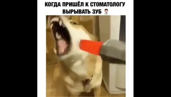 Когда пришёл к стоматологу