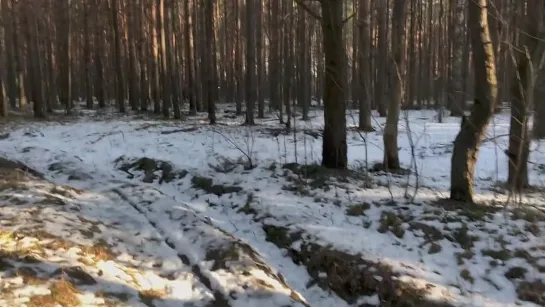 Вывез пьяную девку после клуба за город и трахнул в багажнике авто. (HD 1080 Blacked, Interracial, Blonde, Hardcore)