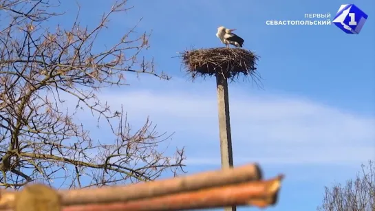 В Харьковскую область доставили более 30 тонн гуманитарной помощи