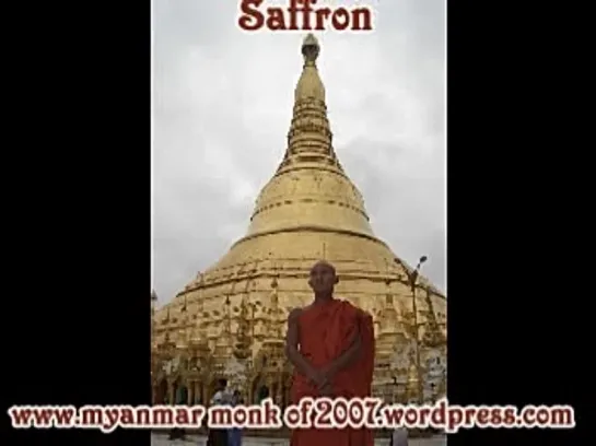 Burma's Saffron Revolution (2008) dir. Ashin Yevata