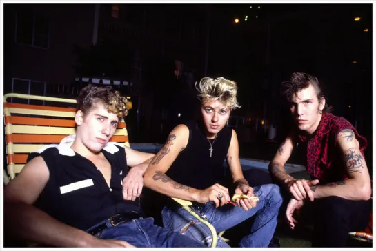 Stray Cats