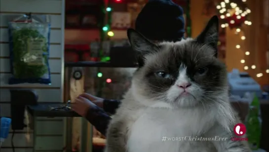 Худшее Рождество Сердитой кошки (2014)  (Grumpy Cat's Worst Christmas Ever)