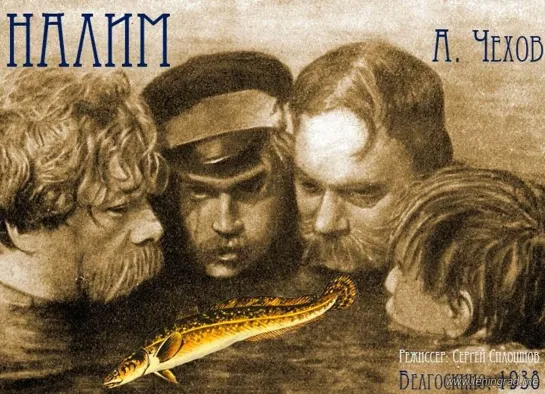 Налим (1938) Белгоскино