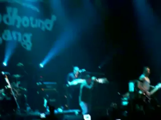 концерт Bloodhound_Gang в Москве