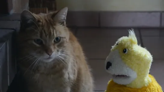 Erics cats (mr. Oizo's)