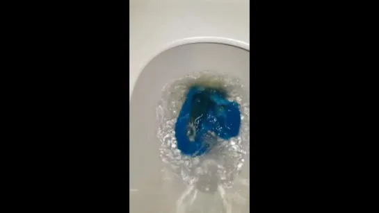 Dirty blue panty flushed