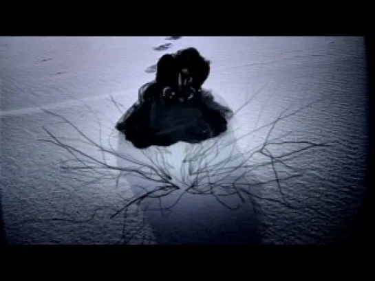 Lacuna Coil - Within Me - http://vk.com/rokoboz (470)