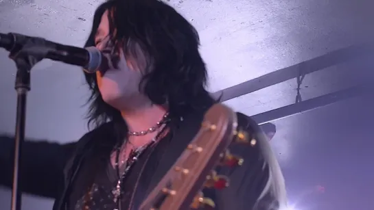 TOM KEIFER - STILL CLIMBING