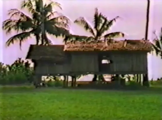 Papua New Guinea: Anthropology on trial (1983) dir.  Barbara Gullahorn-Holocek;