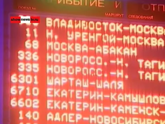 9 месячного львёнка убили в поезде