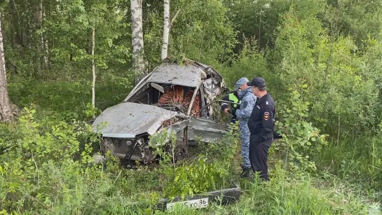 Парни налетели на берёзу и вылетели из авто