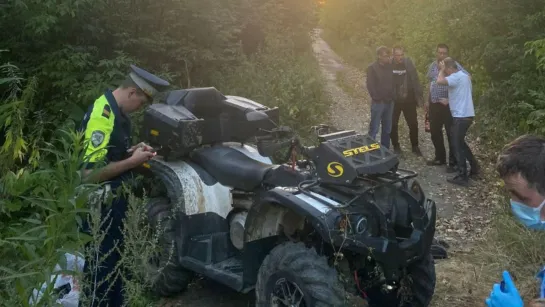 Квадрик убил наездника в лесу.