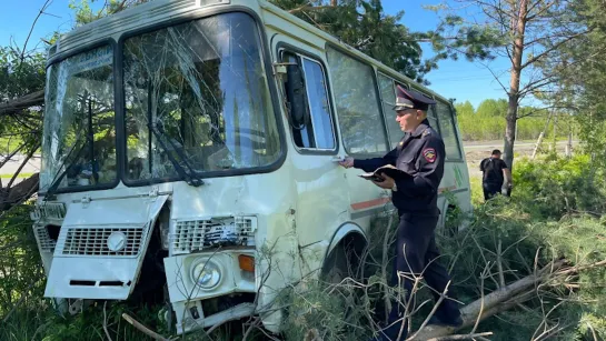 Пилот автобуса потерял сознание и приехал в дерево. Real video