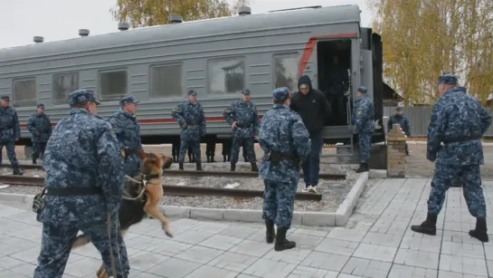 Все конвоиры в гости к нам.