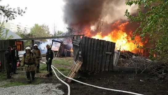 "Белый парус" в дыму, 2 собаки сгорели