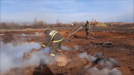 Сборщики дикоросов не погасили костры