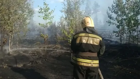 Люди виноваты в лесном пожаре под Пышмой