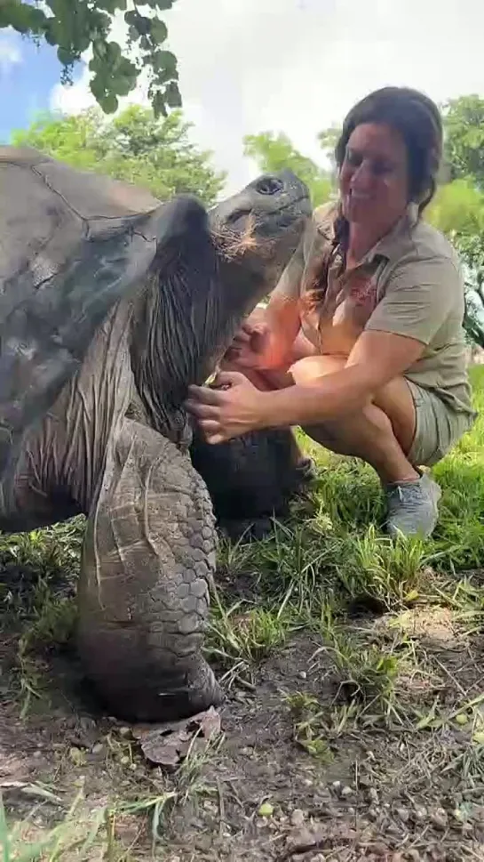 Видео от КонкрЭтный ФилосоФ