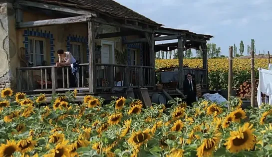 Свет вокруг/И все осветилось / Everything Is Illuminated | 2005 | 480р | Перевод - Tycoon-studio