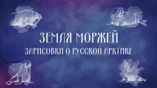 Земля моржей. Зарисовки о Русской Арктике