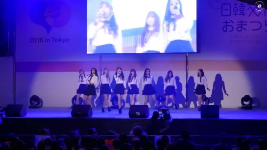 160925 | Lovelyz - Destiny | 2016 Japan & South Korea Exchange Festival