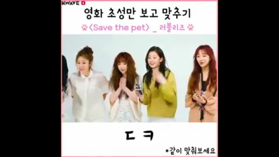 170511 | Lovelyz - Save the pet | K WAVE