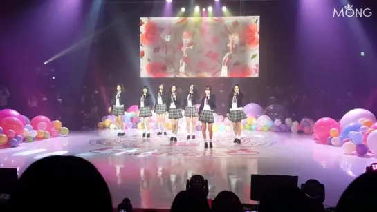 141112 | Lovelyz -  Candy Jelly Love  | Debut Showcase