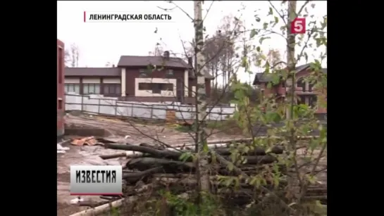 В Ленинградской области десятки семей могут остаться без дач