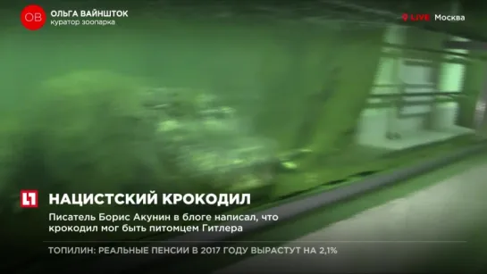 Крокодил из Московского зоопарка оказался современником, но не приятелем Гитлера