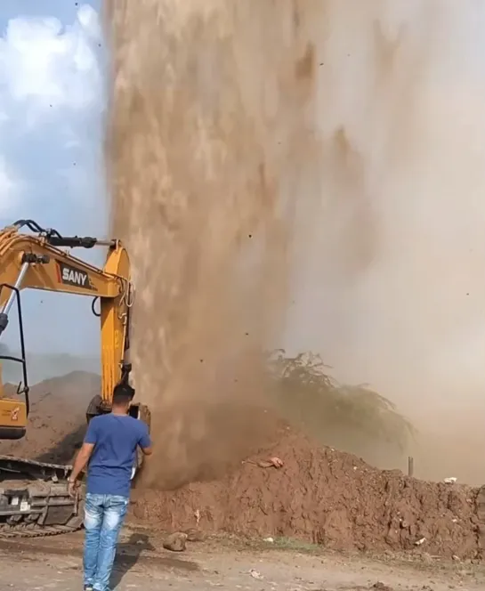 Видео от Союз Лесозаготовителей. Харвестеры и Форвардеры.