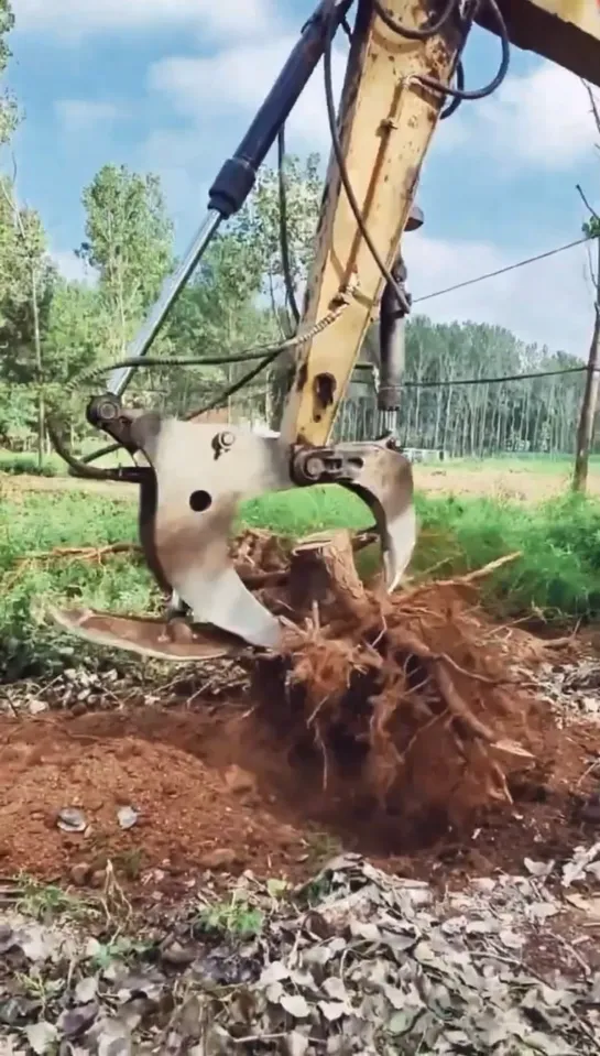 Видео от Союз Лесозаготовителей. Харвестеры и Форвардеры.