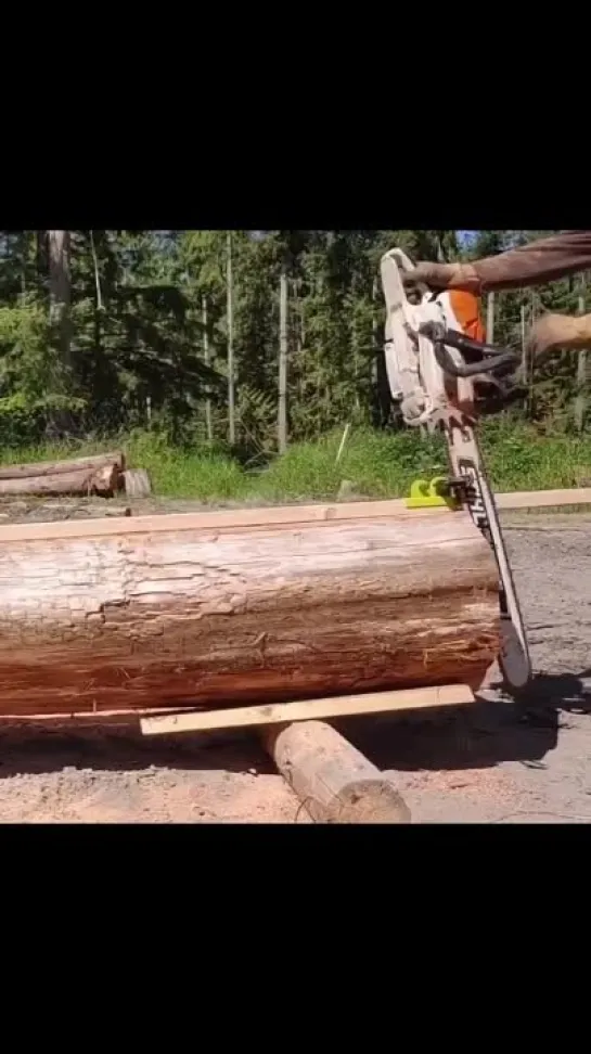 Видео от Союз Лесозаготовителей. Харвестеры и Форвардеры.