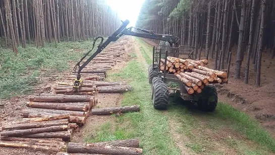 Видео от Союз Лесозаготовителей. Харвестеры и Форвардеры.