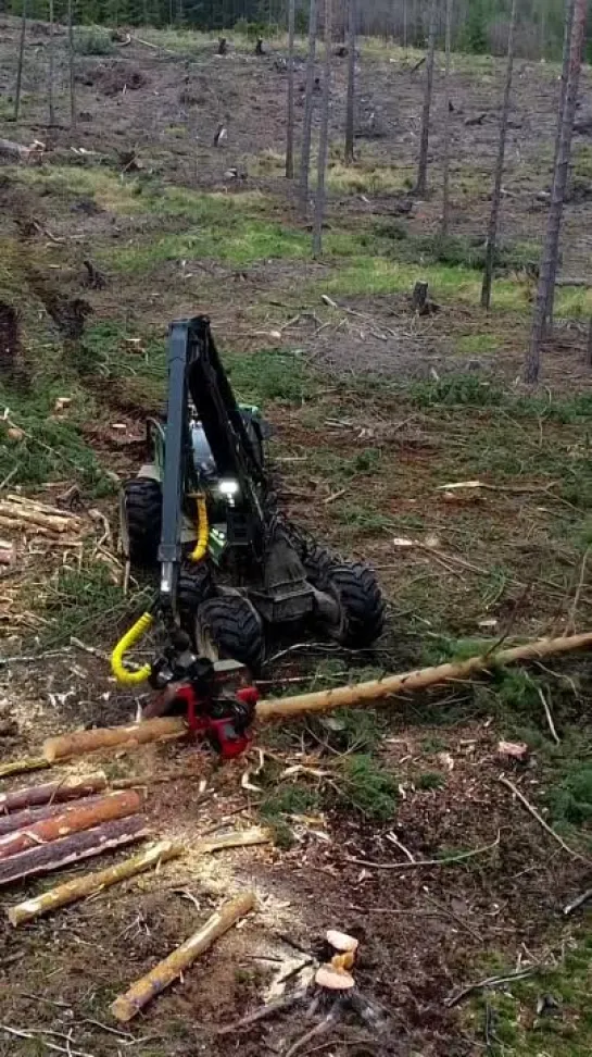 Видео от Союз Лесозаготовителей. Харвестеры и Форвардеры.