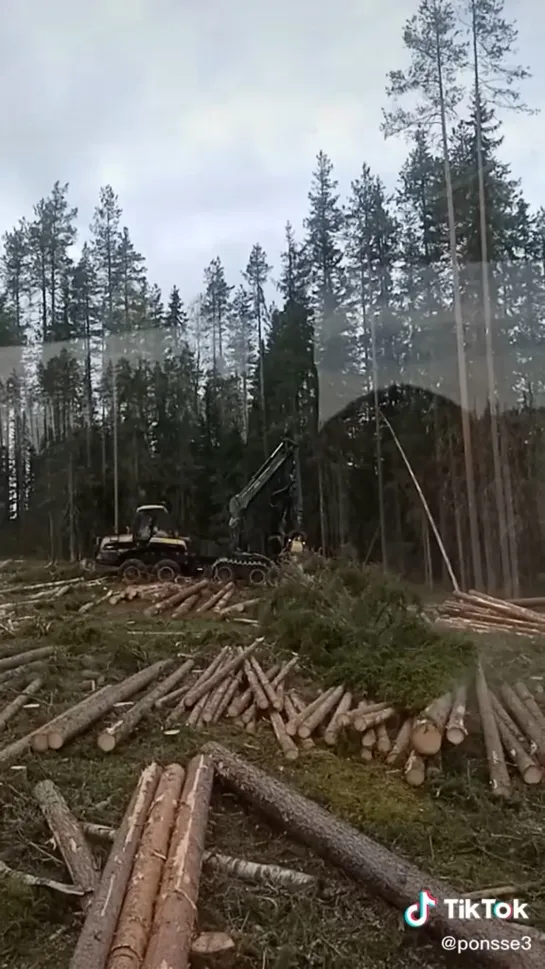 Видео от Союз Лесозаготовителей. Харвестеры и Форвардеры.