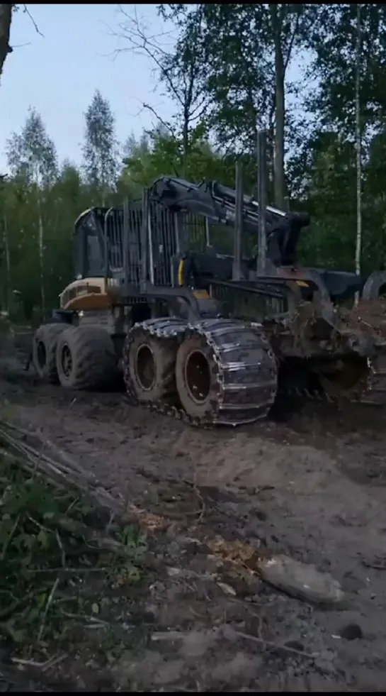 Видео от Союз Лесозаготовителей. Харвестеры и Форвардеры.