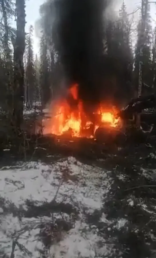 Видео от Союз Лесозаготовителей. Харвестеры и Форвардеры.